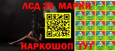 гидропоника Дубна