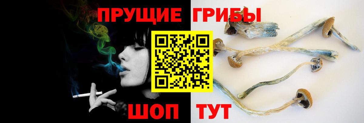 Новоалександровск  Галлюциногенные грибы GOLDEN TEACHER  Вход с VPN  Псилоцибиновые грибы ЛСД 